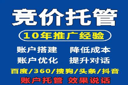 谷歌竞价案例：跨境电商广告投放策略